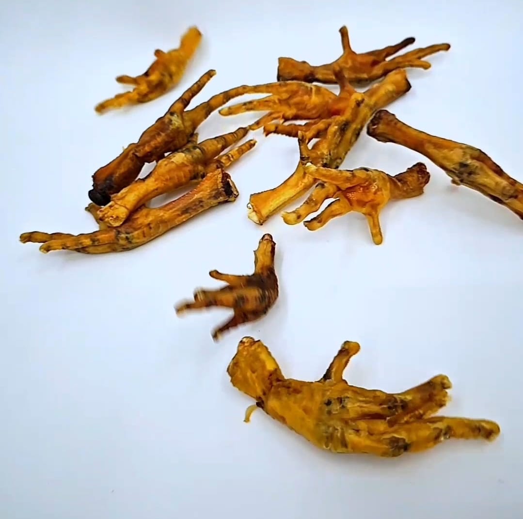Patas de pollo deshidratadas para gato y perro