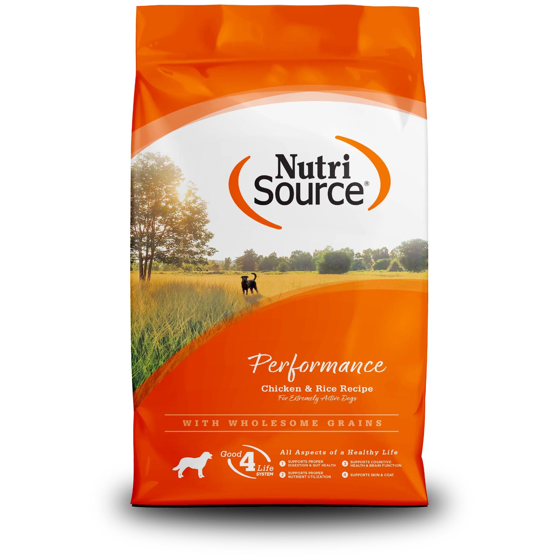 NUTRI SOURSE PERFORMANCE CHICHEN AND RICE