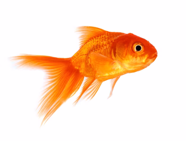PECES
